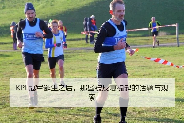 KPL冠军诞生之后，那些被反复提起的话题与观察
