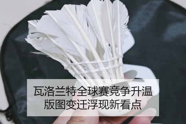 wa-luo-lan-te-quan-qiu-sai-jing-zheng-sheng-wen-ban-tu-bian-qian-fu-xian-xin-kan-dian-2-930.jpg